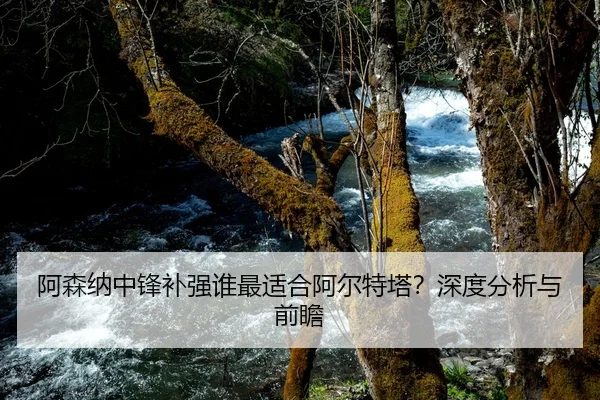 阿森纳中锋补强谁最适合阿尔特塔？深度分析与前瞻
